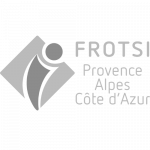 Logo FROTSI